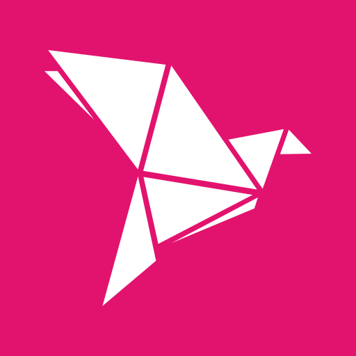 bKash App Logo